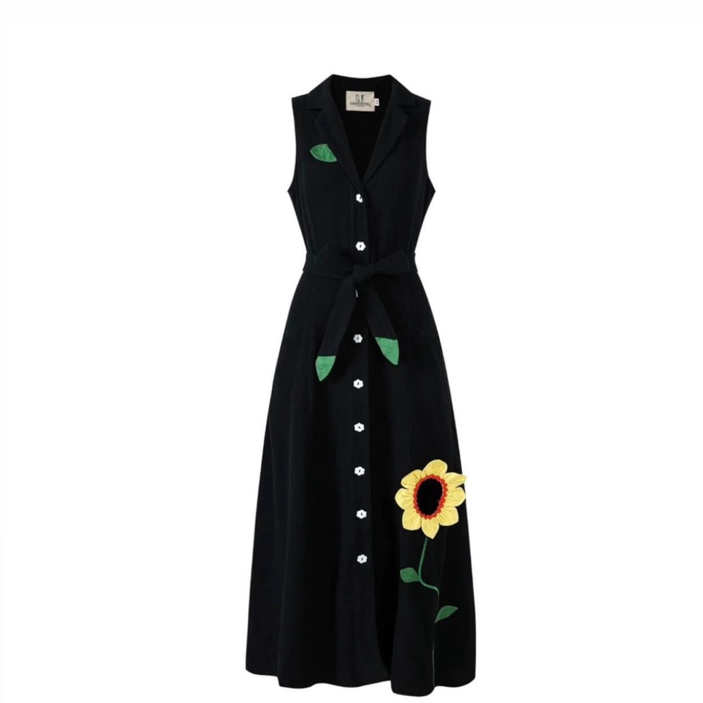 Fashion Brand Company Miss Honey Dress (never worn)
